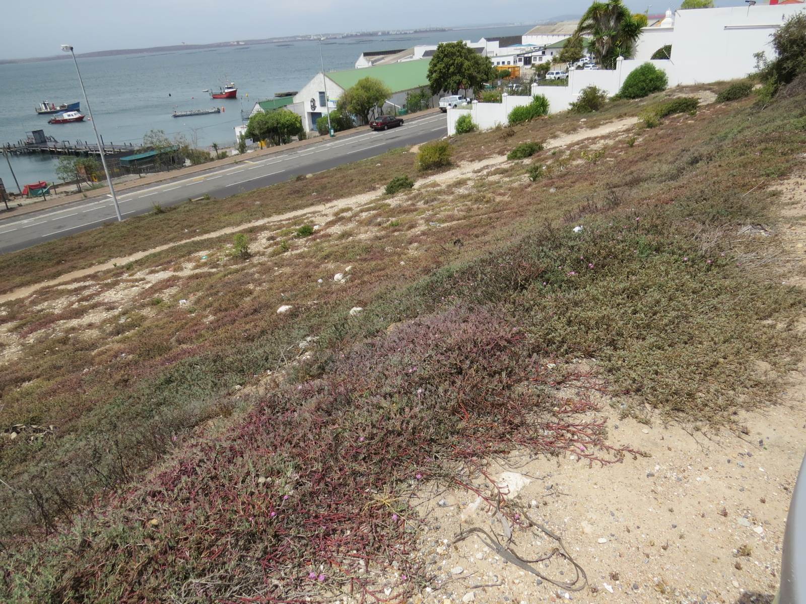 535 m² Land available in Saldanha photo number 3