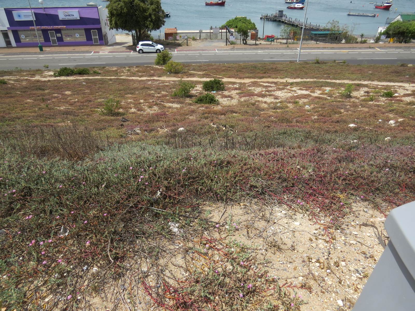 535 m² Land available in Saldanha photo number 4