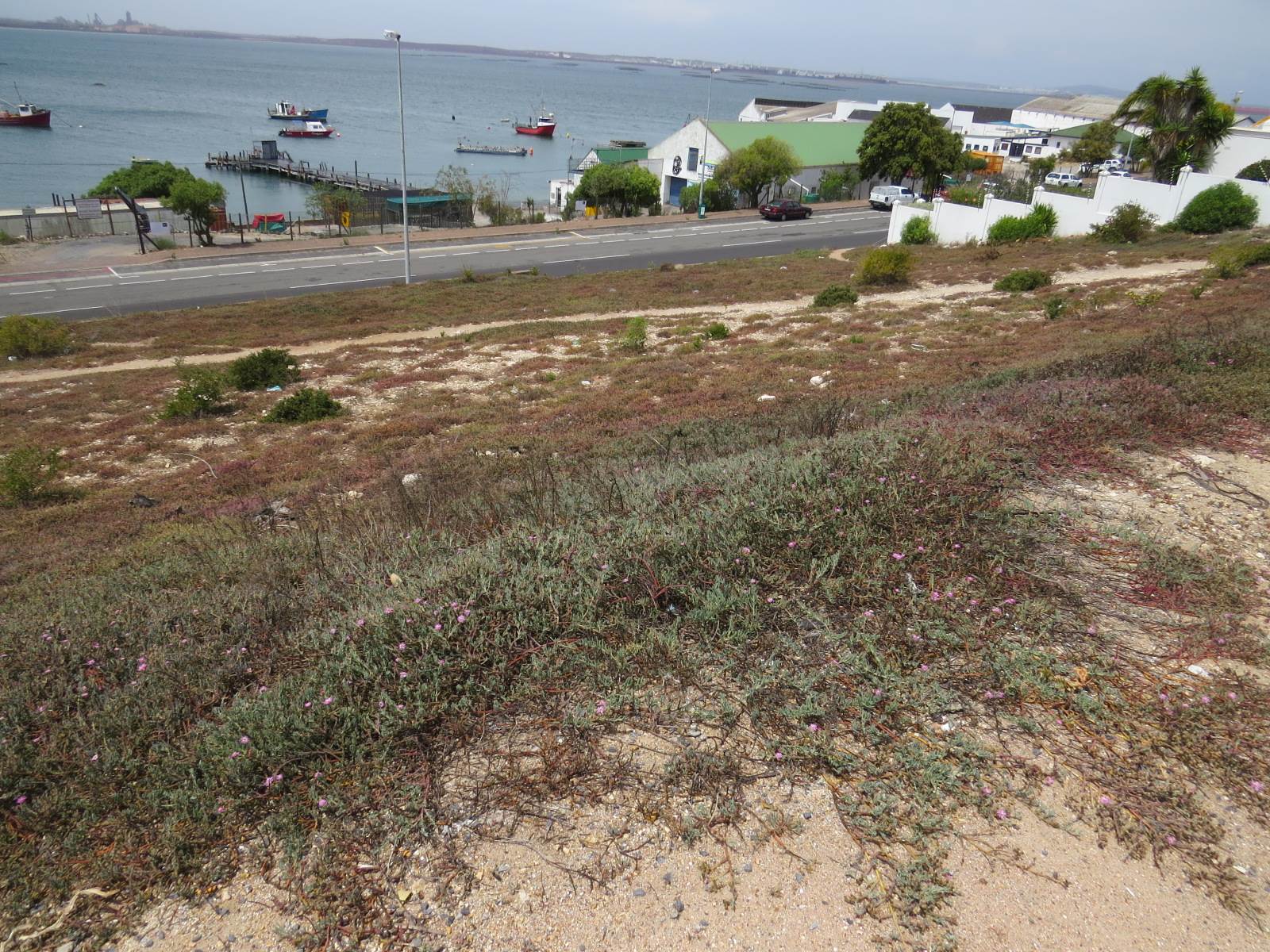 535 m² Land available in Saldanha photo number 2