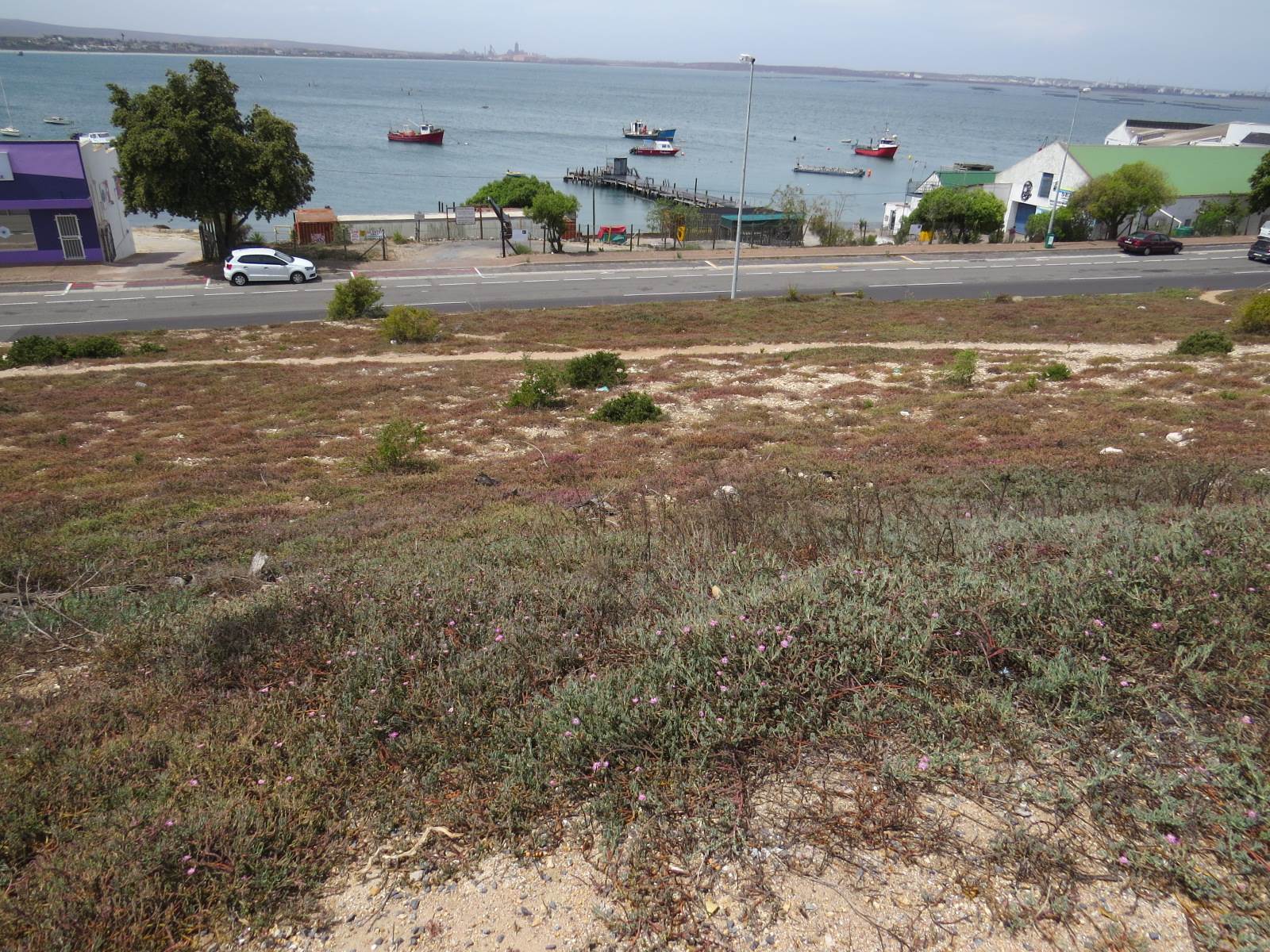 535 m² Land available in Saldanha photo number 1
