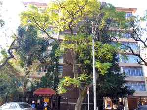 3 Bed Apartment in Sunnyside
