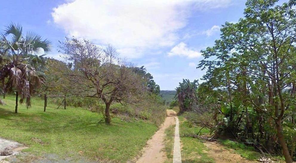 3486 m² Land available in Palm Beach photo number 5