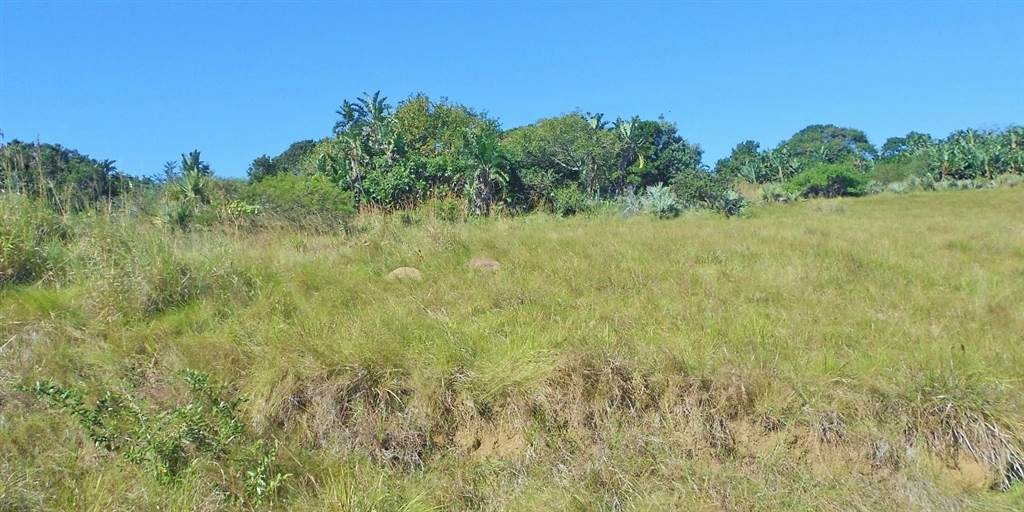 3486 m² Land available in Palm Beach photo number 4