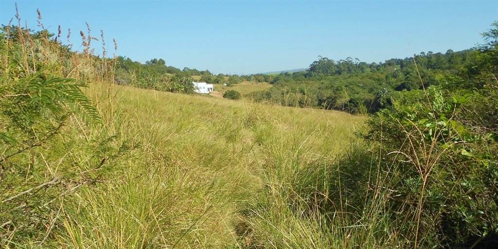 3486 m² Land available in Palm Beach photo number 8