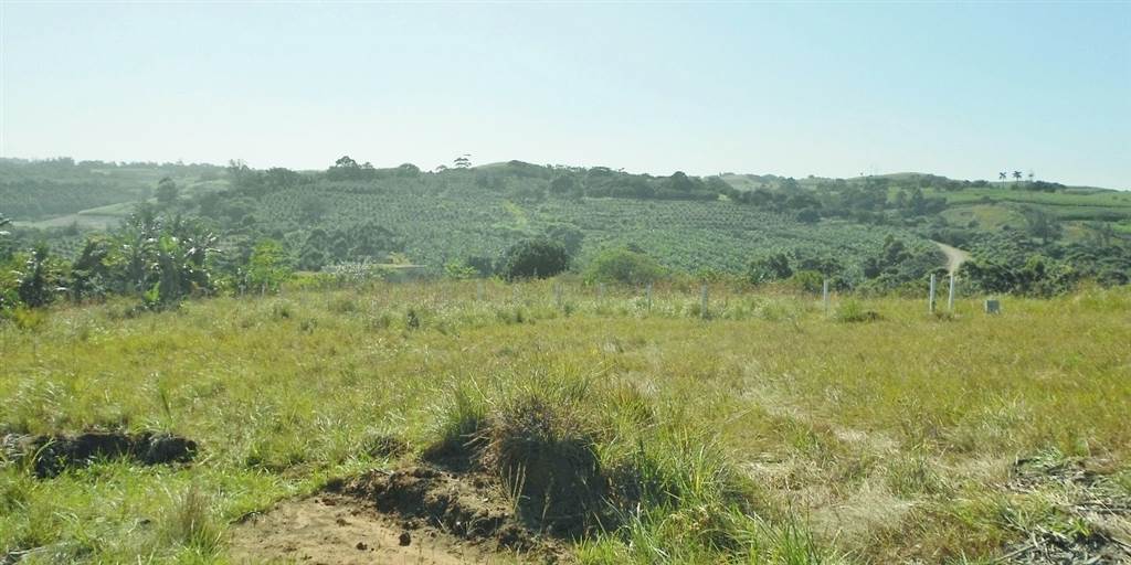 3486 m² Land available in Palm Beach photo number 9