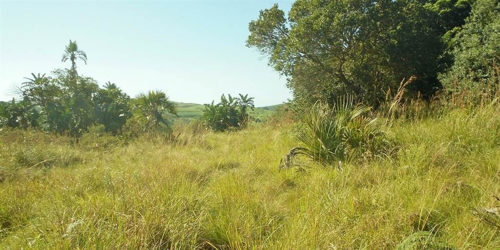 3486 m² Land available in Palm Beach photo number 2