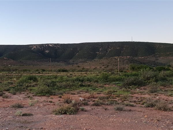980 m² Land available in Steytlerville