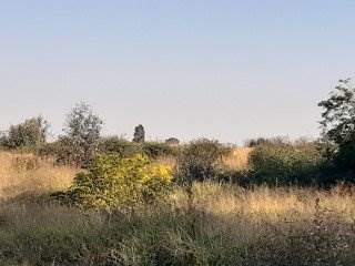 6.7 ha Land available in Meyerton Park photo number 2