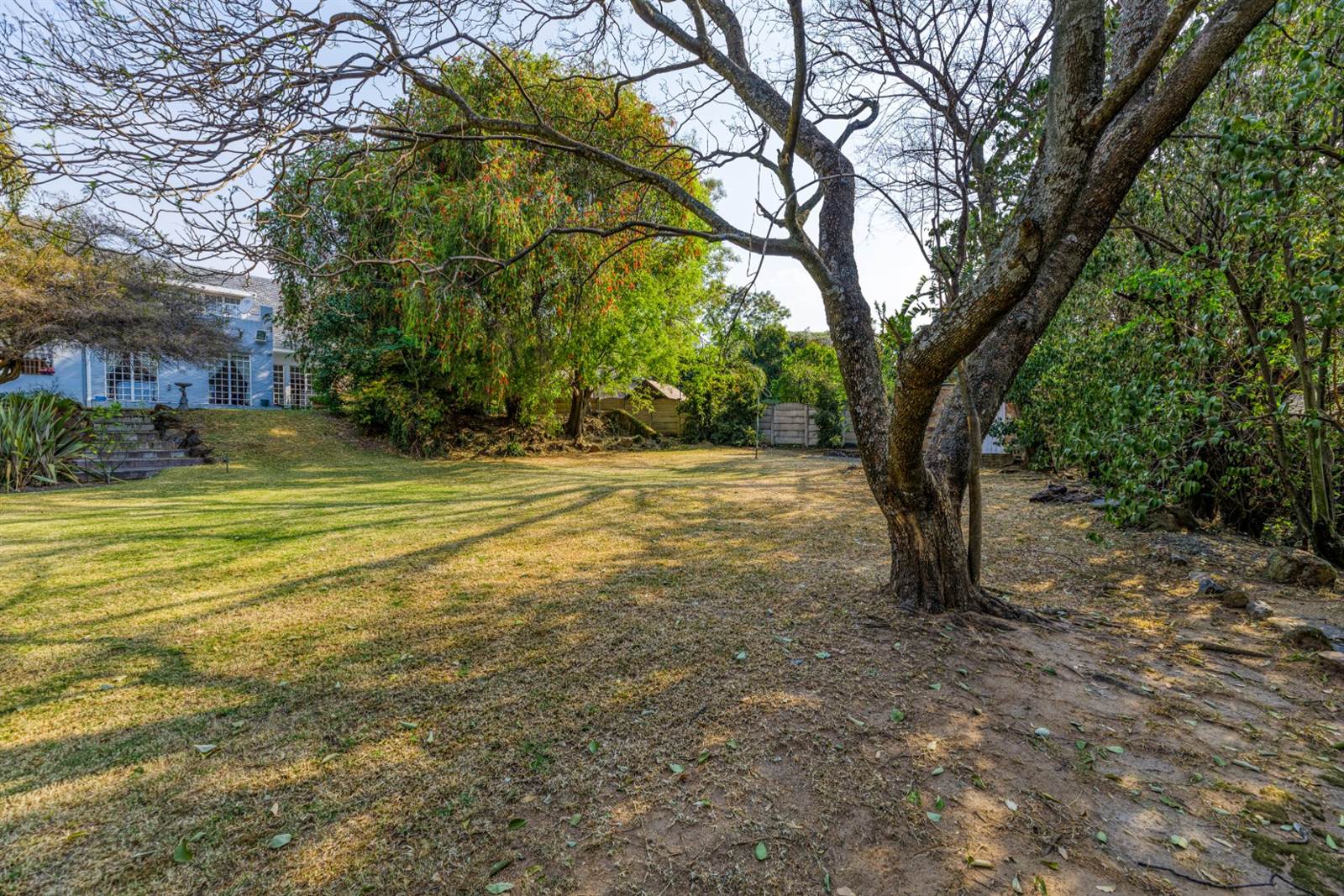 1100 m² Land available in Linksfield photo number 12