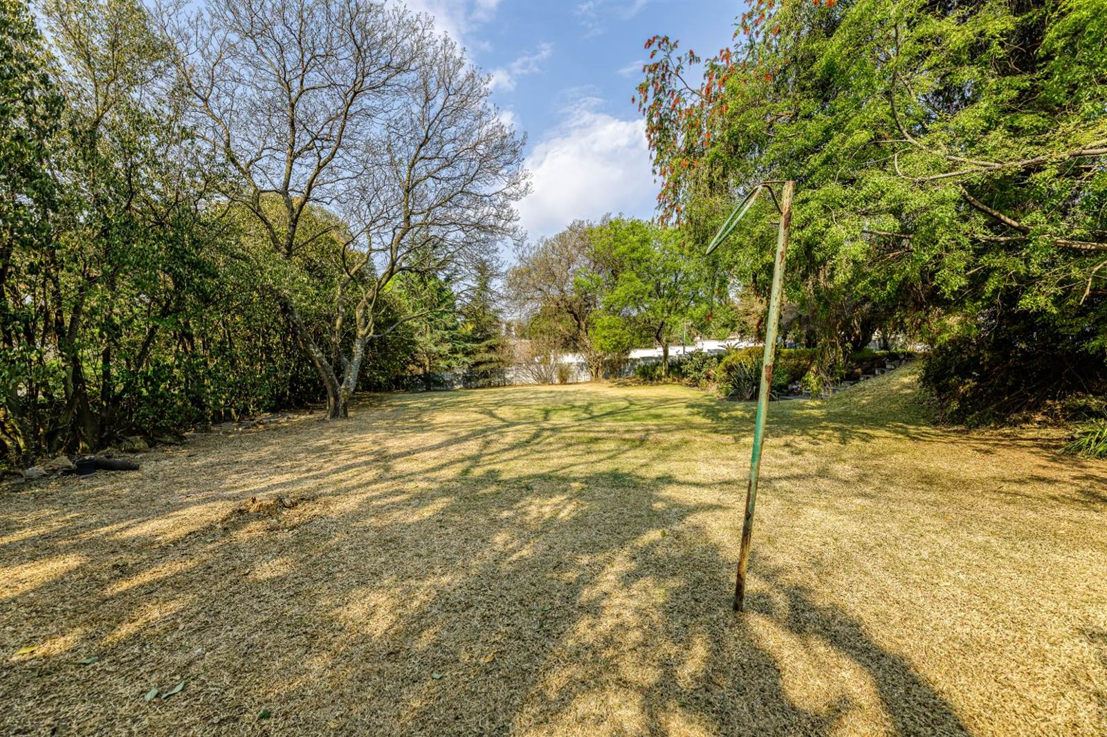 1100 m² Land available in Linksfield photo number 8