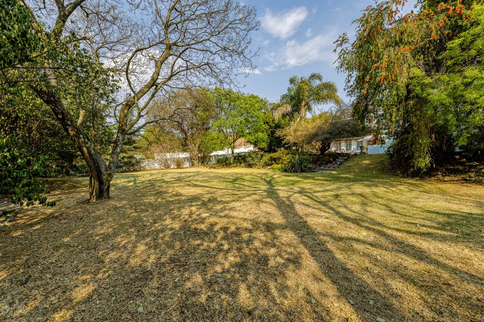 1100 m² Land available in Linksfield photo number 10