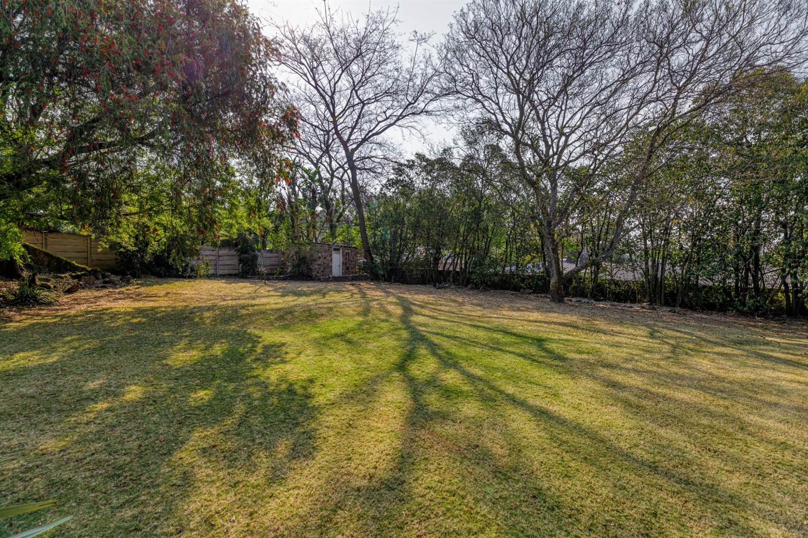 1100 m² Land available in Linksfield photo number 4