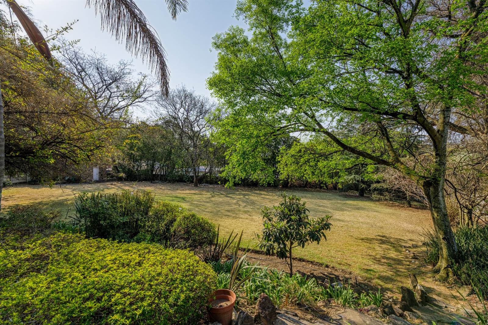 1100 m² Land available in Linksfield photo number 6