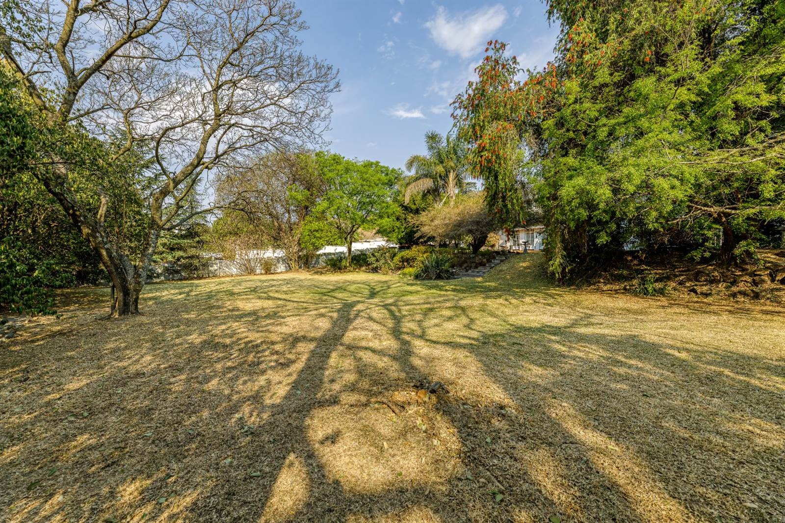 1100 m² Land available in Linksfield photo number 9