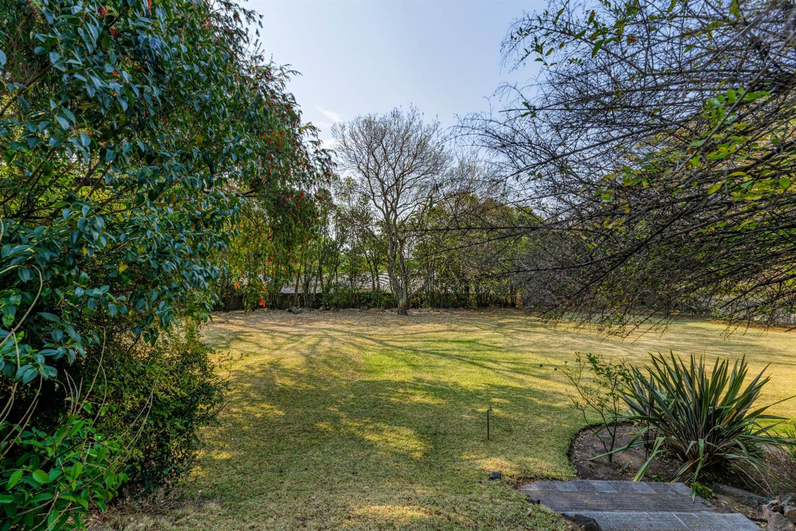 1100 m² Land available in Linksfield photo number 5