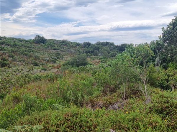 4599 m² Land available in Pezula Private Estate