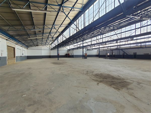 1237  m² Industrial space in Benrose