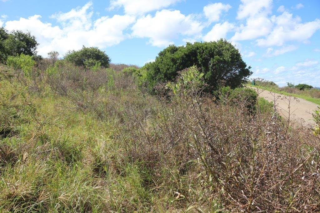 753 m² Land available in Port Alfred photo number 16