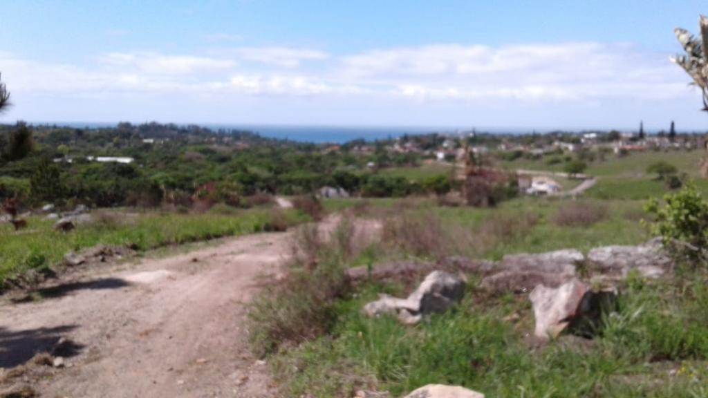 1017 m² Land available in Margate photo number 6