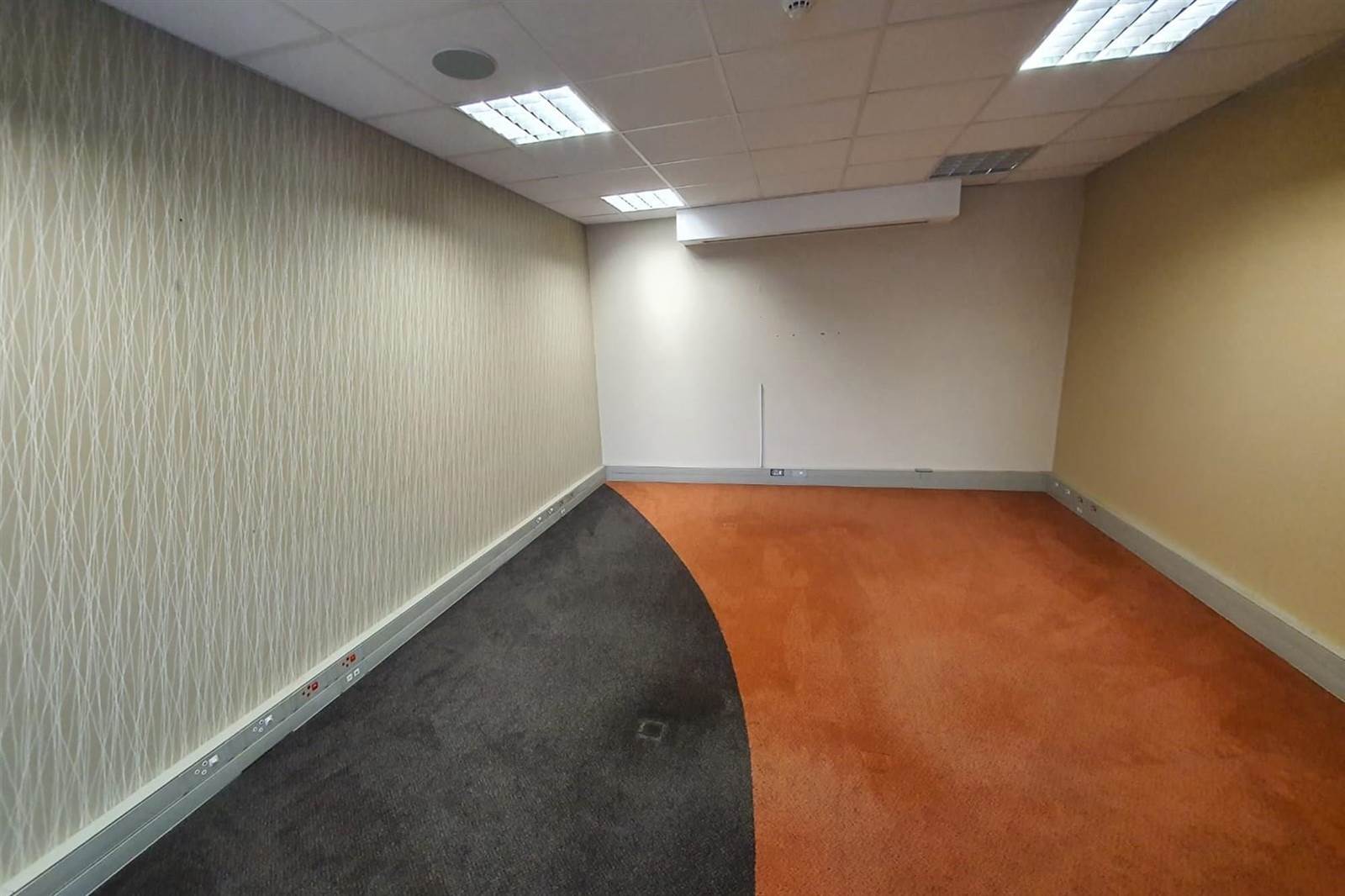 680  m² Commercial space in Newton Park photo number 4