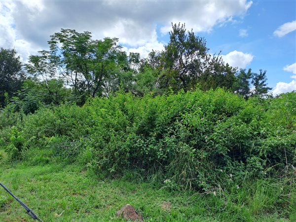 665 m² Land available in Hazyview