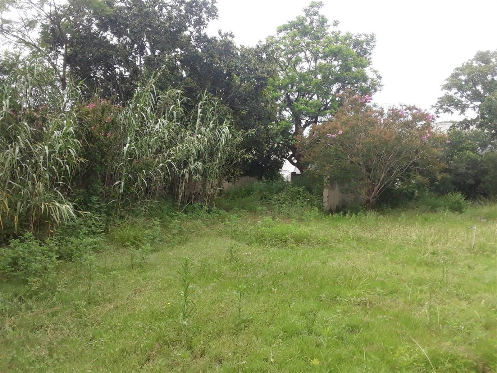 1015 m² Land available in Bedford photo number 3