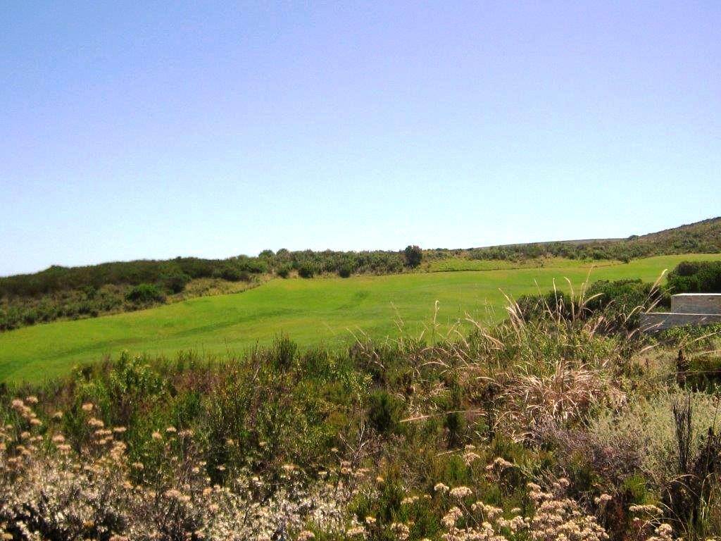1001 m² Land available in Pezula Golf Estate photo number 4