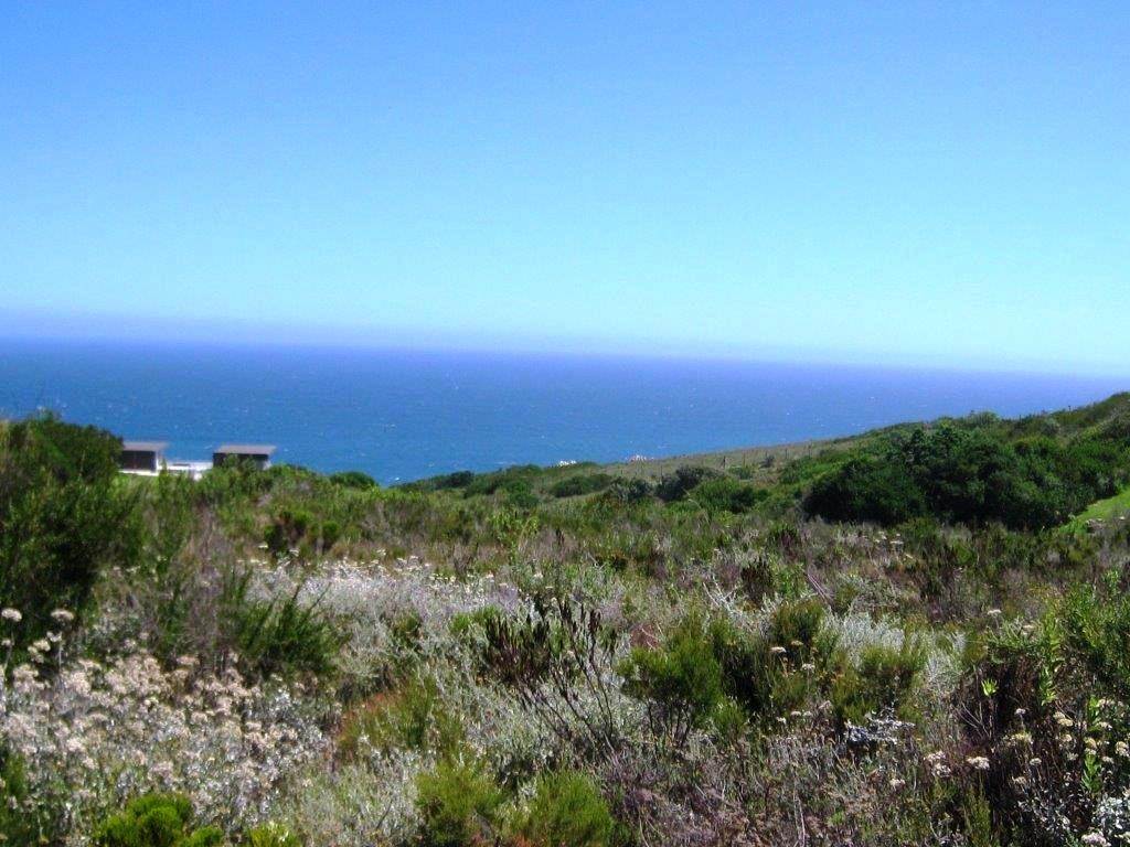 1001 m² Land available in Pezula Golf Estate photo number 6
