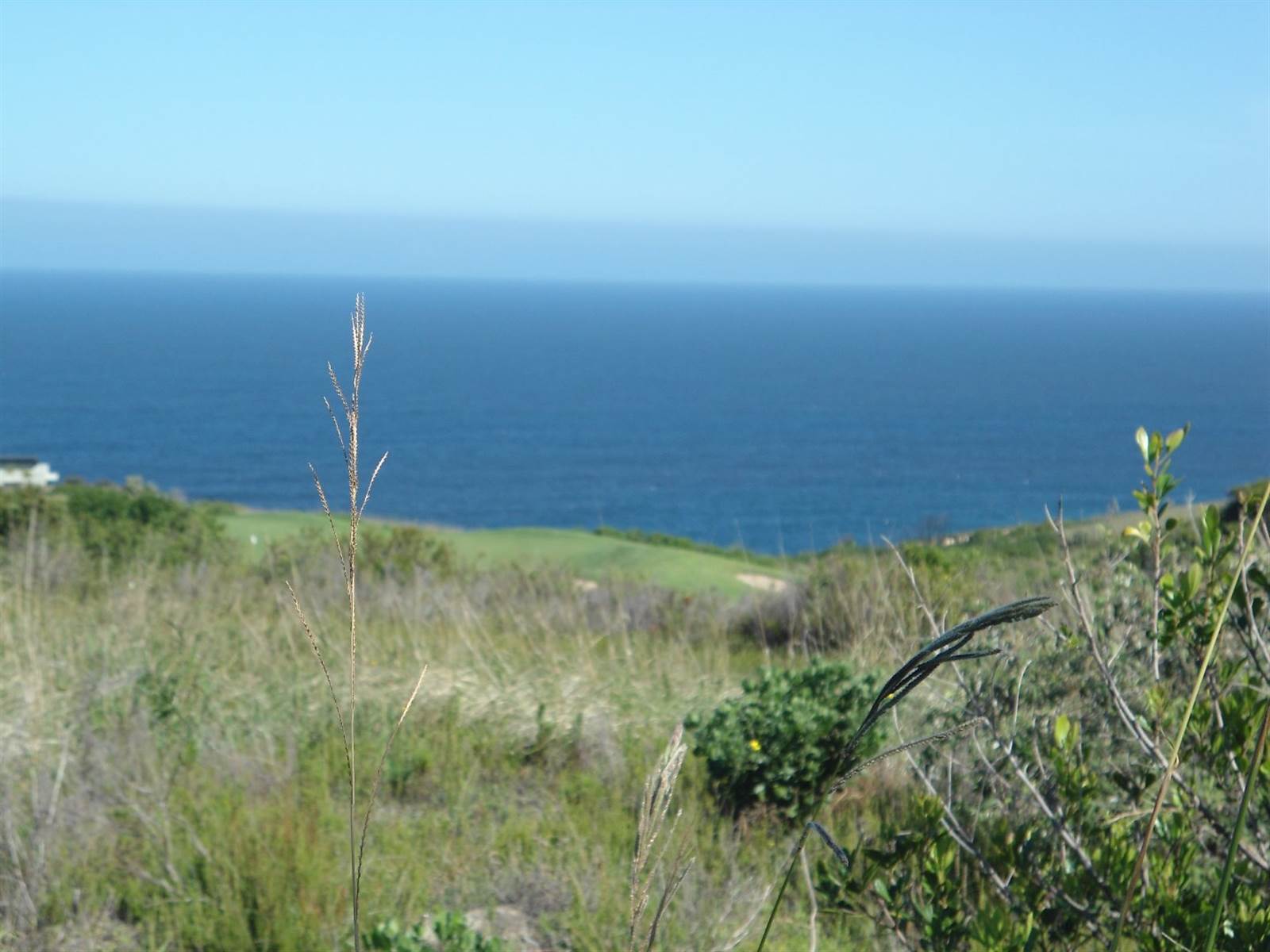 1001 m² Land available in Pezula Golf Estate photo number 8