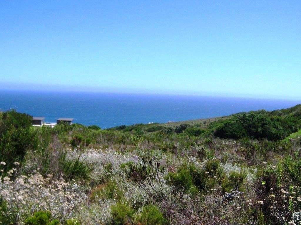 1001 m² Land available in Pezula Golf Estate photo number 7