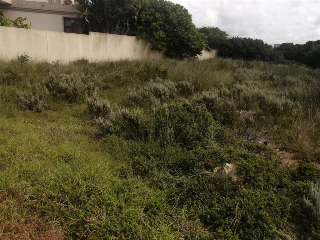 814 m² Land available in Stilbaai photo number 5
