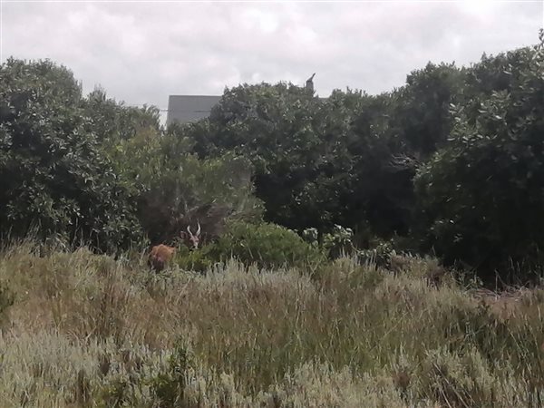 814 m² Land available in Stilbaai