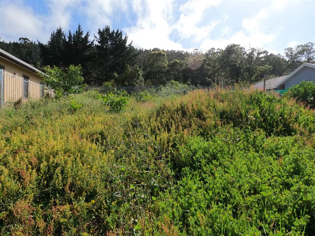 523 m² Land available in Meedingsride photo number 5