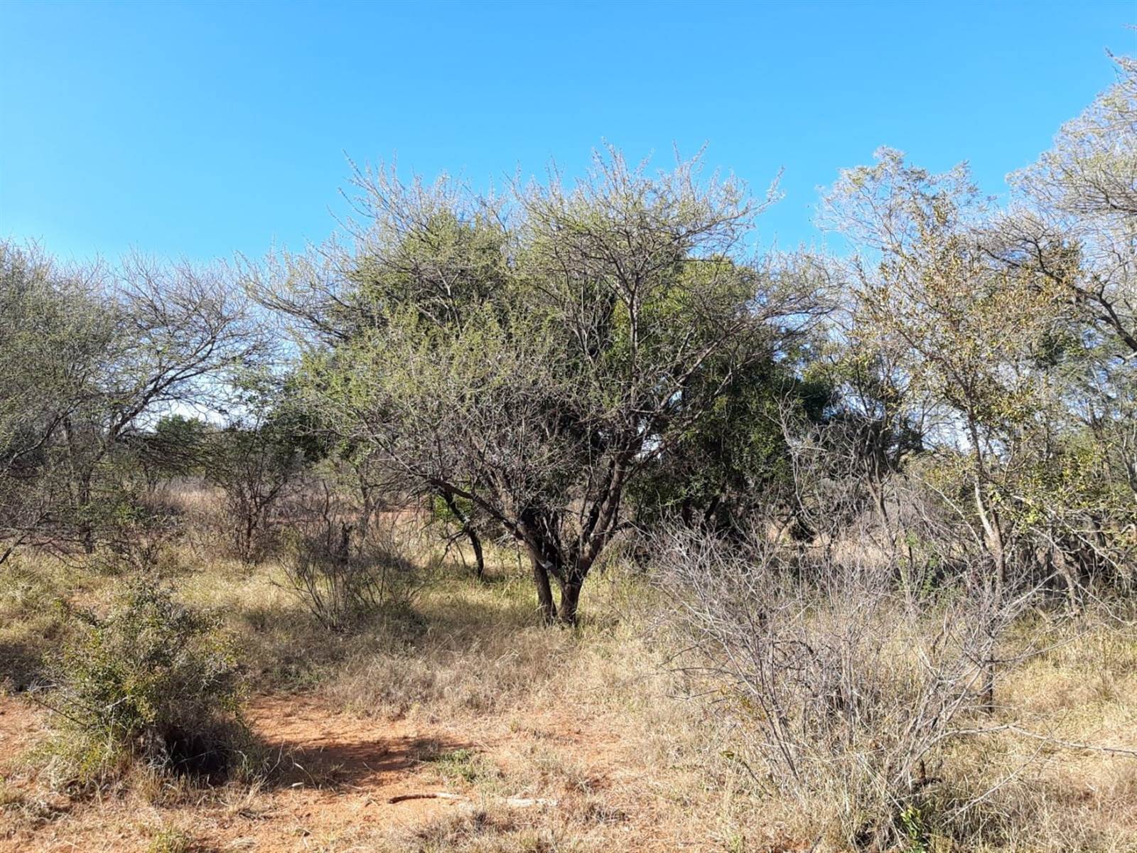 3 ha Land available in Thabazimbi photo number 6