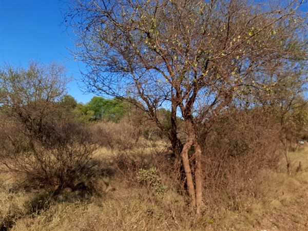 3 ha Land available in Thabazimbi
