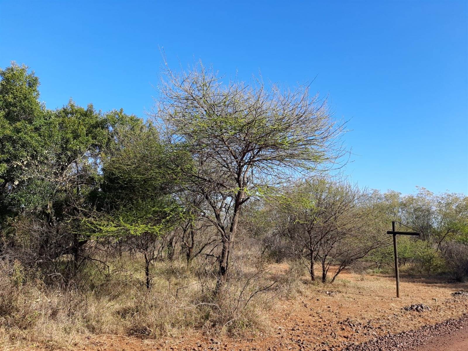 3 ha Land available in Thabazimbi photo number 8