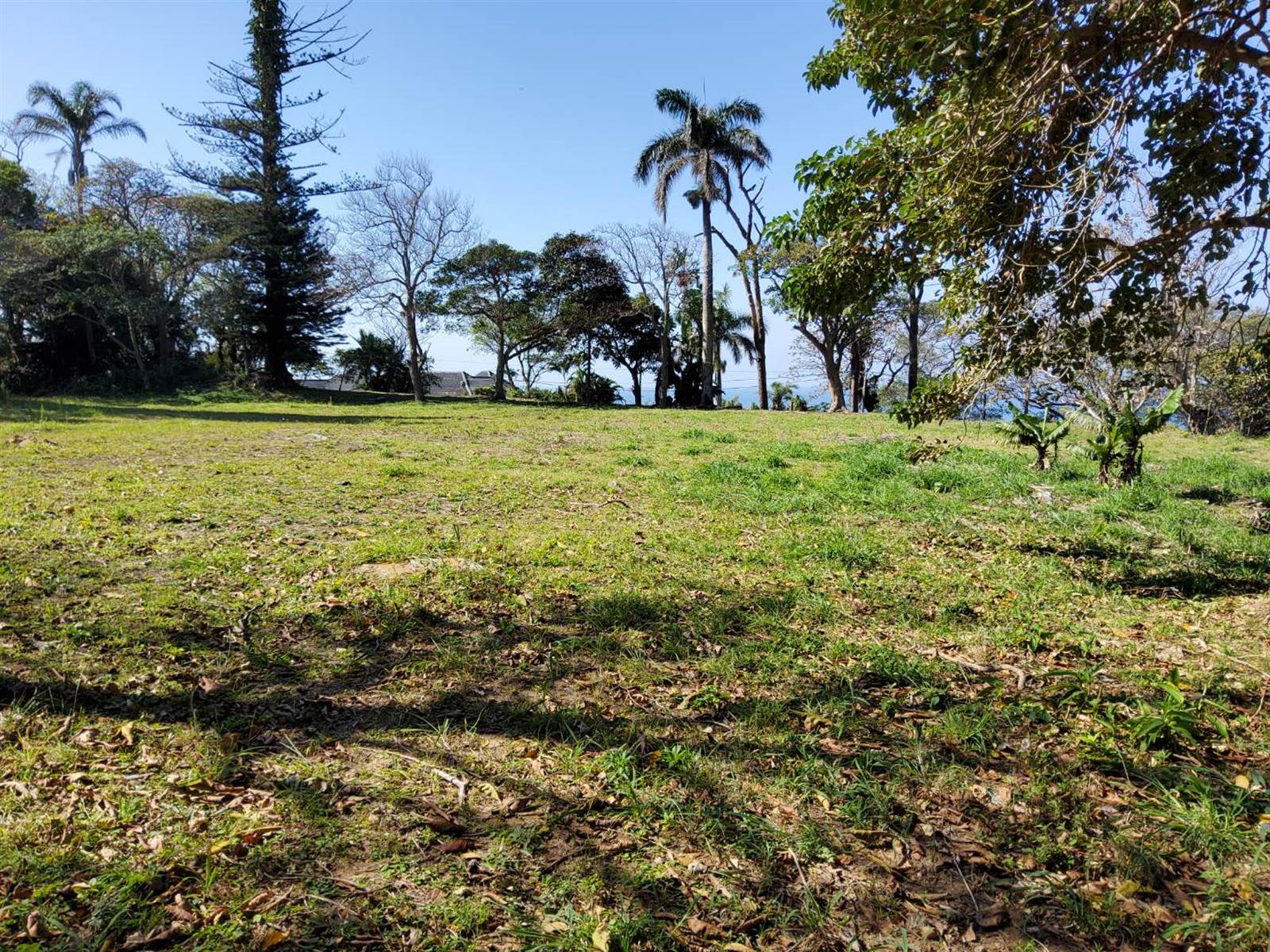 6281 m² Land available in Ramsgate photo number 12