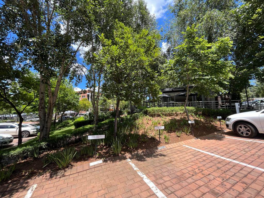 162  m² Commercial space in Bryanston photo number 5