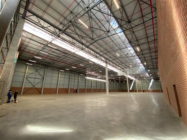 3253  m² Industrial space in Louwlardia