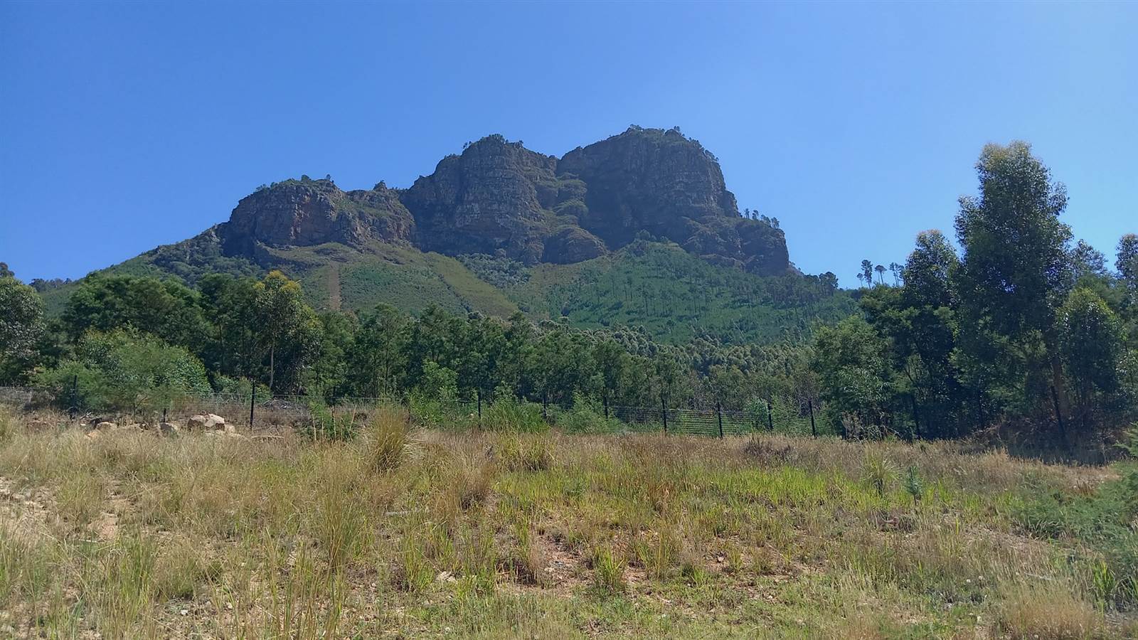 512 m² Land available in Stellenbosch Central photo number 3