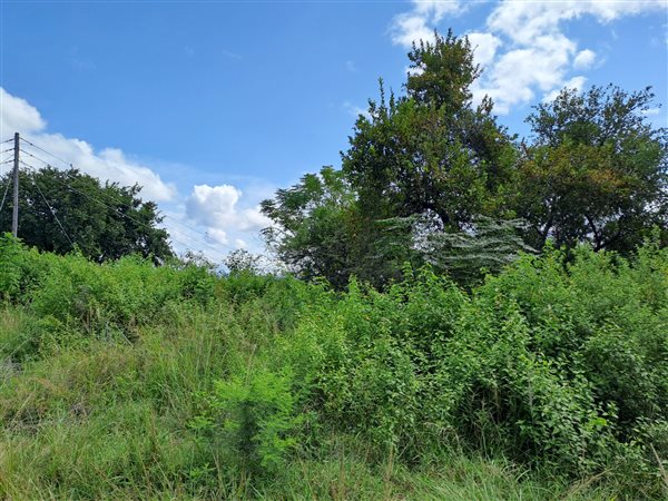 665 m² Land available in Hazyview
