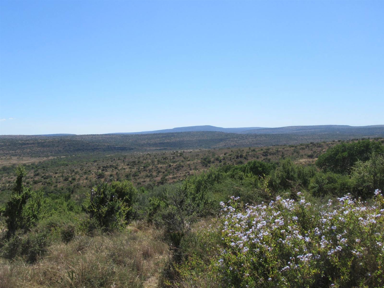 1409.8 ha Farm in Grahamstown Central photo number 21