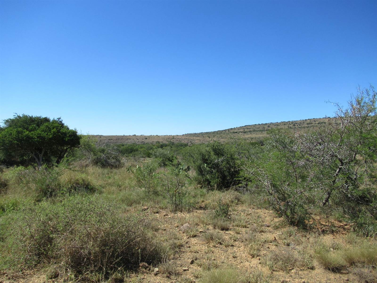 1409.8 ha Farm in Grahamstown Central photo number 14