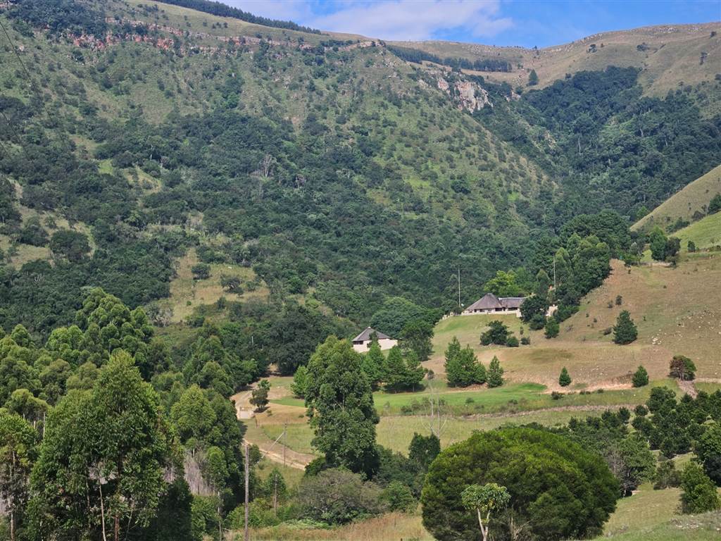 50 ha Farm for sale in Barberton T4571682 Private Property