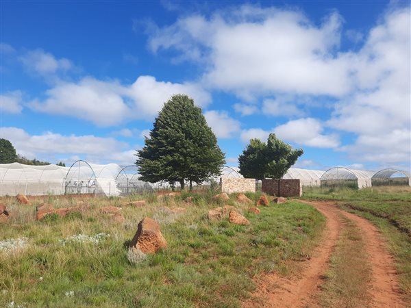 136.6 ha Farm in Dullstroom