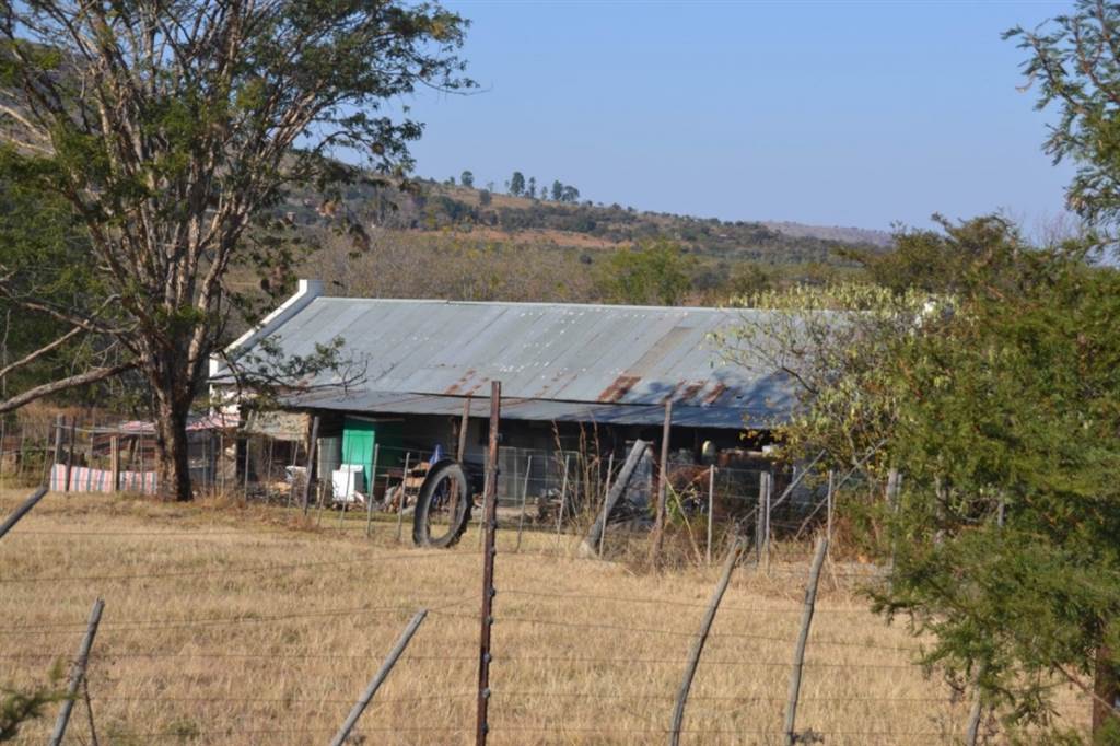 Smallholding in Lydenburg photo number 15