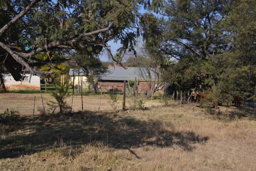 Smallholding in Lydenburg photo number 30