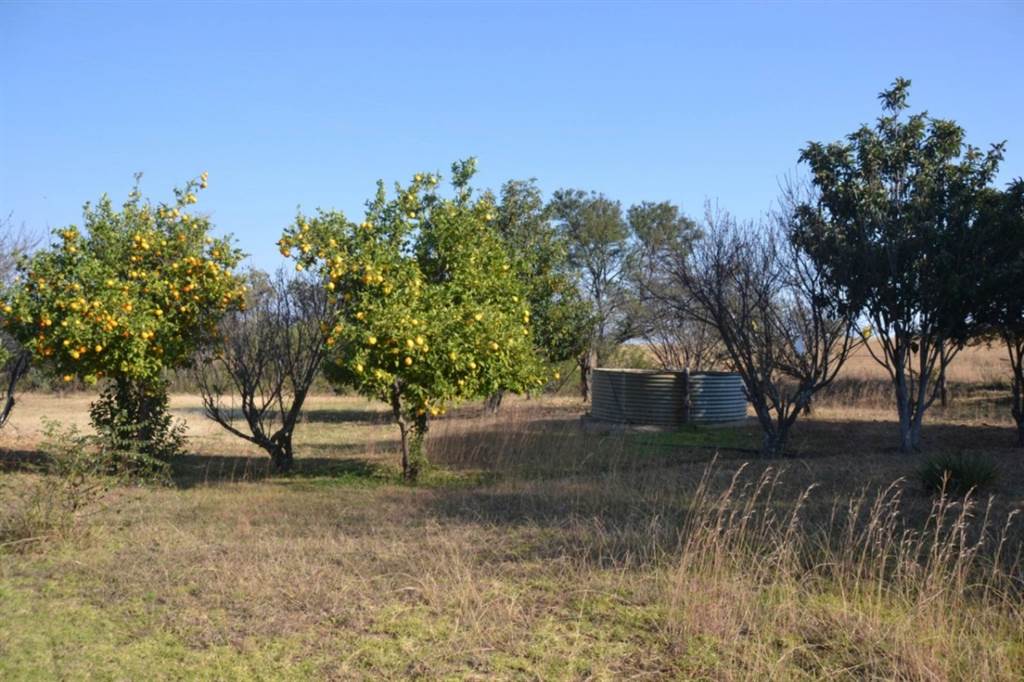 Smallholding in Lydenburg photo number 9