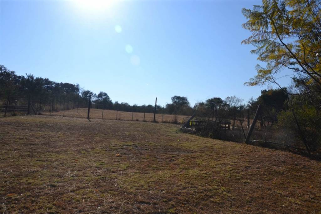 Smallholding in Lydenburg photo number 7