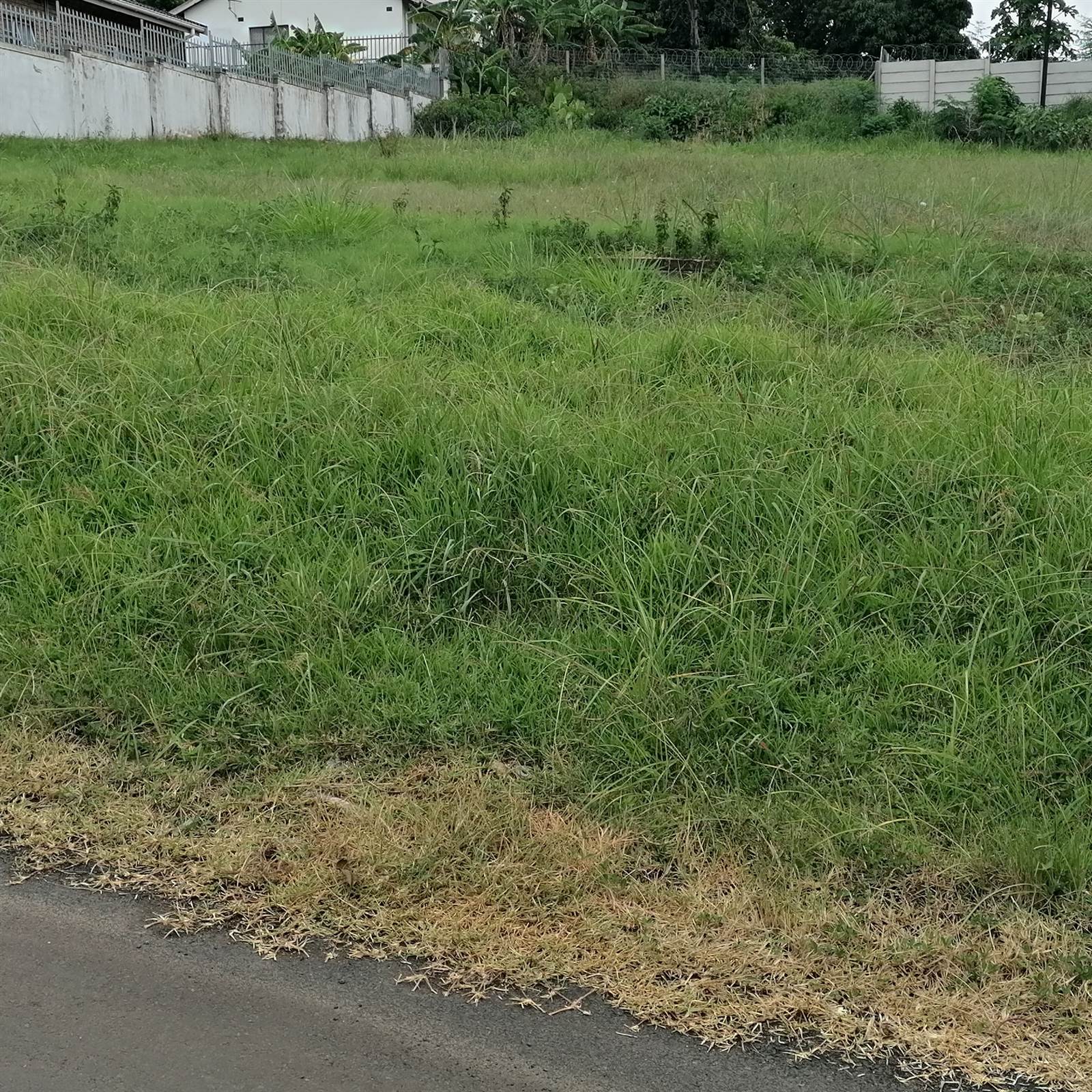 1950 m² Land available in Tongaat Central photo number 3